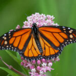 2025030期开奖结果最新公布与查询 02g3d64uh