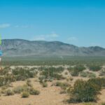 2025038期双色球开奖日期与结果查询指南 1n67r6