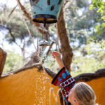 2025021期双色球开奖号码结果查询与公布 1x2kqxdv