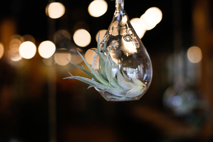 2025034期福彩开奖结果最新公布 2025034期福彩开奖结果最新公布