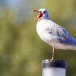 2025026期3D开奖结果最新公布,快来看看你中奖了吗? 6ytrixirt