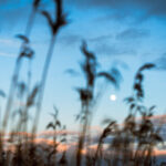 2025039期双色球开奖号码最新公布结果查询 80e4fx