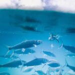 2025036期双色球开奖结果最新公布 afkm9y6xz