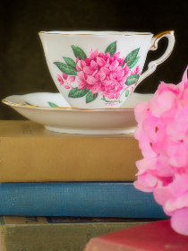 2025024期双色球开奖号码及中奖情况公布 2025024期双色球开奖号码及中奖情况公布