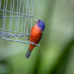 2025032期最新开奖结果已公布,速来查看中奖号码 d9i0md0b7f