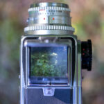 3D试机号与开奖号最新动态全解析 gm2n0