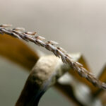 2025034期双色球开奖结果查询与最新号码公布 h6igthtktg