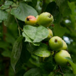 2025034期双色球开奖号码及中奖详情公布 i7ouhiij