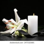 3d试机号家彩开奖最新开奖结果与试机号精准分析 jhuxtwf2sm