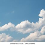 2025018期双色球开奖号码已公布快来看看你中奖了吗 kwew1w1huz