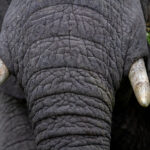 2025039期开奖结果正式公布 okuqxl5