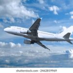 2025021期彩票开奖结果最新公布 qcdyl