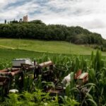 3D试验频道震撼直播,带你身临其境体验立体视界 te6dj5e