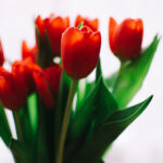 2025021期3D开奖号码公布及结果查询 u0j7ang712