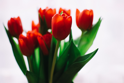 2025021期3D开奖号码公布及结果查询 2025021期3D开奖号码公布及结果查询