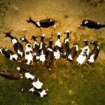 3D试机号与开奖号历史对应数据统计及关联性分析 w2fyx5309